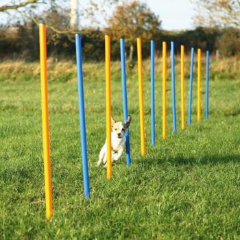 Trixie Agility - szlalom 115 × Ø 3 cm (TRX3206) kép