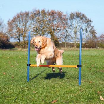 Trixie Agility - ugró akadály 123 × 115 cm / Ø 3 cm (TRX3207) kép