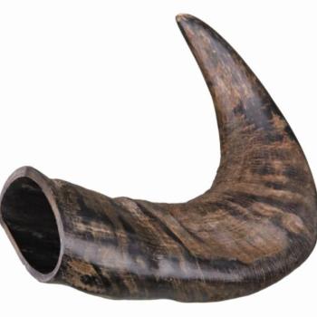 TRIXIE Buffalo Chewing Horn Bivalyszarv medium (27742) kép