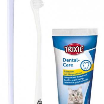 Trixie Dental Hygiene Set - fogkefe és fogkrém szett macskák részére kép