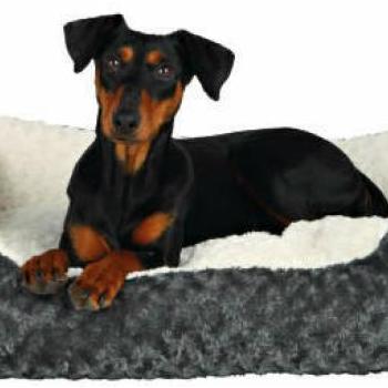 TRIXIE Kaline 65x50 cm szürke/krém 38962 kép