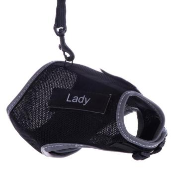 Trixie XCat macskahám cimkékkel és pórázzal, fekete, 24 - 42 cm mellkaskörfogat kép