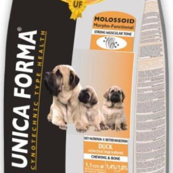 Unica Forma Molossoid Mother & Puppy 15 kg kép