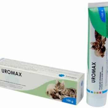 UroMax Paszta 100 g kép