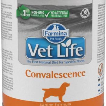 Vet Life Convalescence 300 g kép