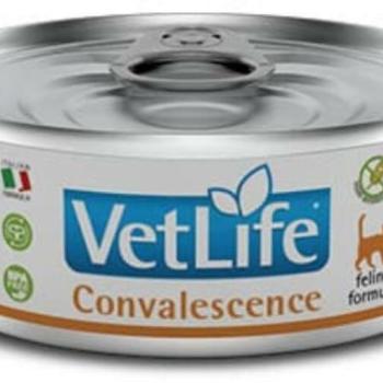 Vet Life Convalescence 85 g kép