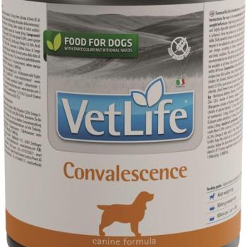 Vet Life Dog Convalescence konzerv 300 g kép