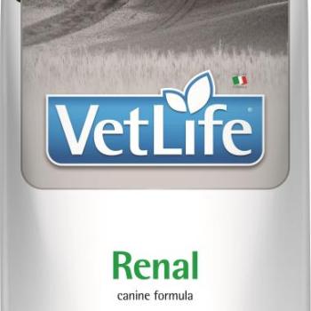 Vet Life Dog Renal 12 kg kép