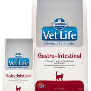 Vet Life Gastro-Intestinal 10 kg kép