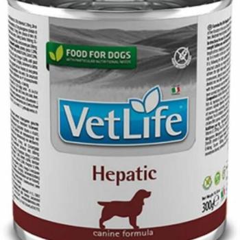 Vet Life Natural Diet Hepatic 300 g kép