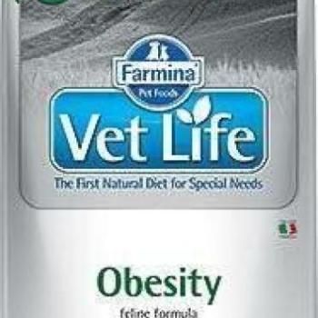 Vet Life Obesity 400 g kép