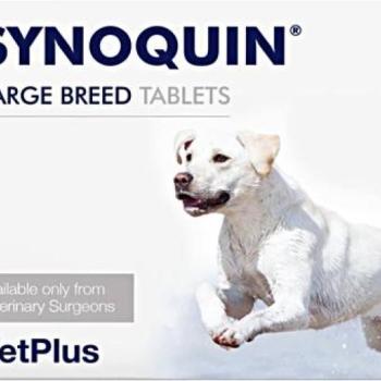 VetPlus Synoquin EFA Large Breed rágótabletta 30 db kép