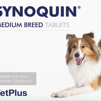 VetPlus Synoquin EFA Medium Breed rágótabletta 30 db kép