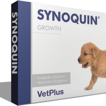 VetPlus Synoquin Growth Joint Support tabletta 60 db kép