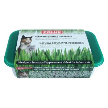Zolux macskafű macskáknak 15x10x5cm kép