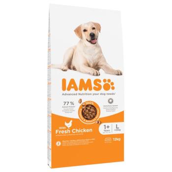 12kg IAMS Advanced Nutrition Adult Large Dog csirke száraz kutyatáp kép