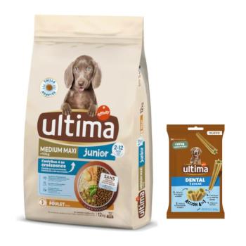 12kg Ultima Medium/Maxi Junior csirke száraz kutyatáp + 180g Ultima Dental Sticks Medium/Maxi kutyasnack ingyen kép