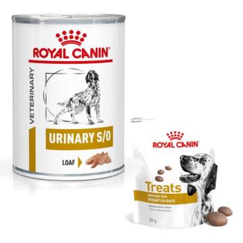 12x410g Royal Canin Veterinary Urinary Mousse nedves kutyatáp+3x snack ingyen kép