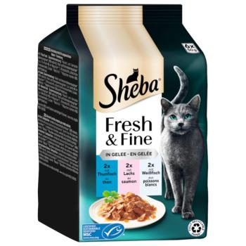 12x50g Sheba Fresh & Fine tonhal, lazac & fehér hal aszpikban nedves macskatáp kép