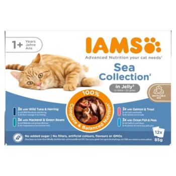 12x85g IAMS Advanced Nutrition Adult Sea Mix aszpikban nedves macskatáp kép