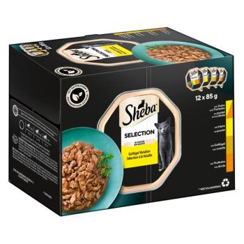 144x85g Sheba Selection szószban tálcás nedves macskatáp kép