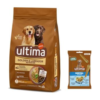 14kg Ultima Golden & Labrador Retriever csirke száraz kutyatáp + 180g Ultima Dental Sticks Medium/Maxi kutyasnack ingyen kép