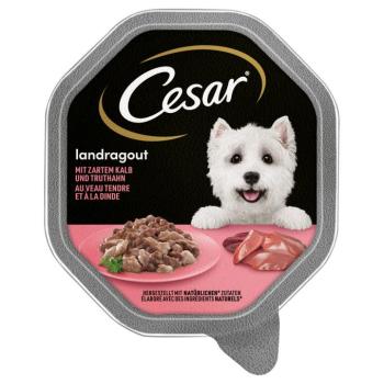 14x150g Cesar Vidéki ragu: borjú & pulyka nedves kutyatáp kép