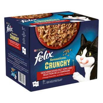 20x85g Felix Sensations húsválogatás nedves macskatáp + 2x40g Crunchy Crumbles topping macskáknak kép