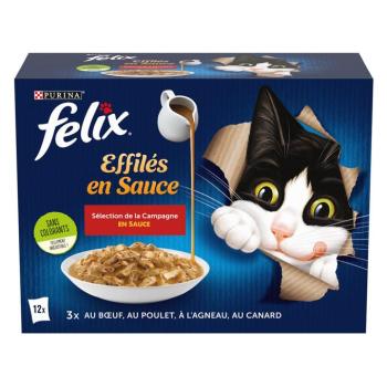 24x85g Felix Fantastic Gravy Lover vidéki válogatás  nedves macskatáp kép
