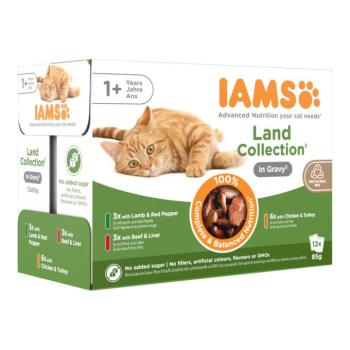 24x85g IAMS Advanced Nutrition Adult Land Mix szószban nedves macskatáp kép