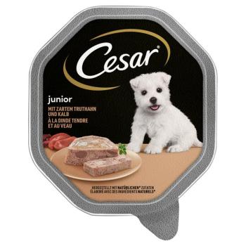 28x150g Cesar Junior tálcás pulyka & borjú nedves kutyatáp kép