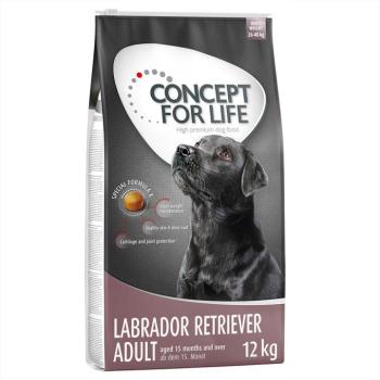 2x12kg Concept for Life Labrador Retriever Adult száraz kutyatáp kép