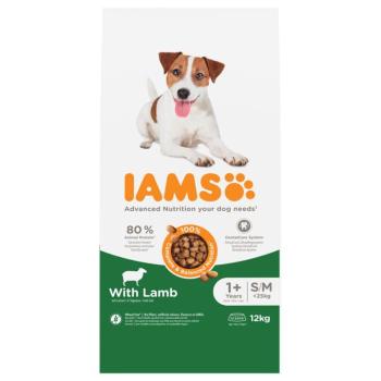 2x12kg IAMS Advanced Nutrition Adult Small & Medium Dog bárány száraz kutyatáp kép