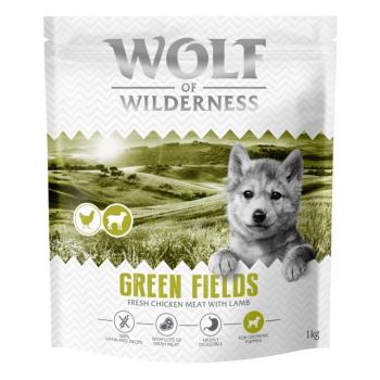 2x1kg Little Wolf of Wilderness Junior 'Green Fields' bárány - gabonamentes száraz kutyatáp kép
