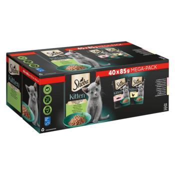 80x85g Sheba Kitten variációk Finom változatosság szószban nedves macskatáp kép