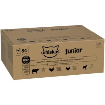 84x85g Whiskas Junior klasszikus válogatás szószban nedves macskatáp kép