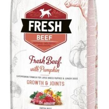 Brit Fresh Beef with Pumpkin Puppy 12 kg kép