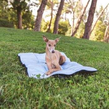 Nomad Tales Spirit összehajtható kutya hűtő matrac - H 90 x Sz 60 cm kép