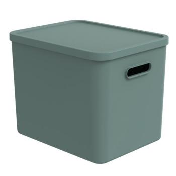 Rotho MyPet C4 Albula műanyag tároló doboz kutyáknak, macskáknak kép