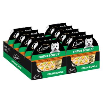 10x85g Cesar Fresh Bowls csirke szószban nedves kutyatáp kép
