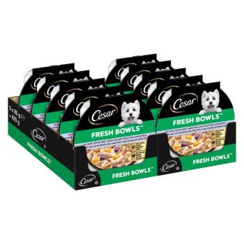 10x85g Cesar Fresh Bowls kacsa szószban nedves kutyatáp kép