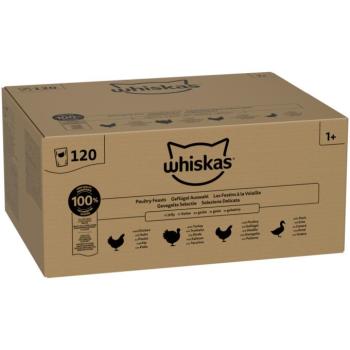 120x85g Whiskas Adult szárnyasválogatás aszpikban nedves macskatáp kép
