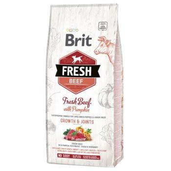 12kg Brit Fresh Puppy Large Beef & Pumpkin száraz kutyatáp kép