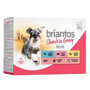 12x100g Briantos falatkák szószban nedves kutyatáp Mix (csirke, marha & lazac) kép