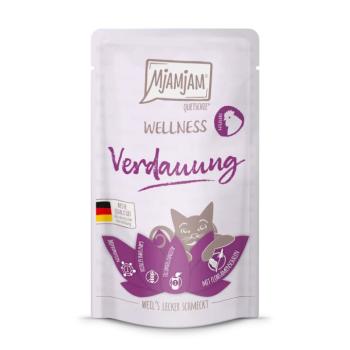12x125g MjAMjAM Wellness Emésztés csirke nedves macskatáp kép