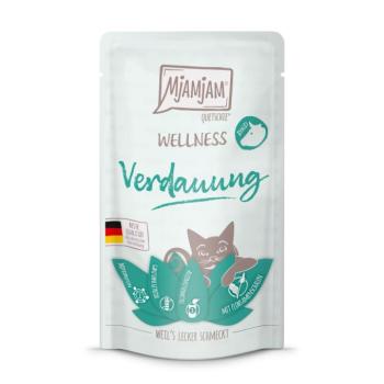 12x125g MjAMjAM Wellness Emésztés marha nedves macskatáp kép