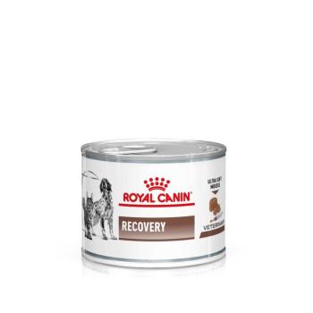 12x195g Royal Canin Veterinary Canine Recovery Ultra Soft Mousse nedves kutyatáp kép