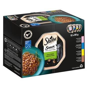 144x85g Sheba Sauce Lover tálcás nedves macskatáp kép