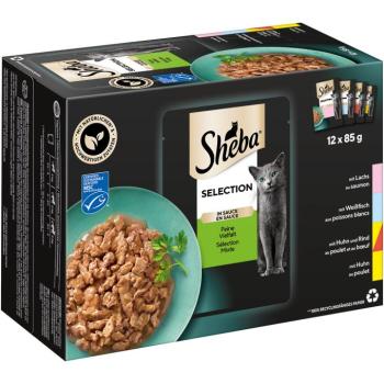 144x85g Sheba Selection szószban finom változatosság nedves macskatáp kép