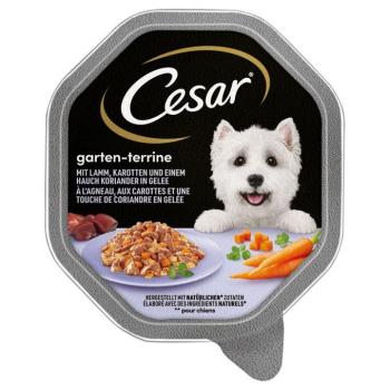 14x150g Cesar Bárány, sárgarépa & koriander aszpikban nedves kutyatáp kép